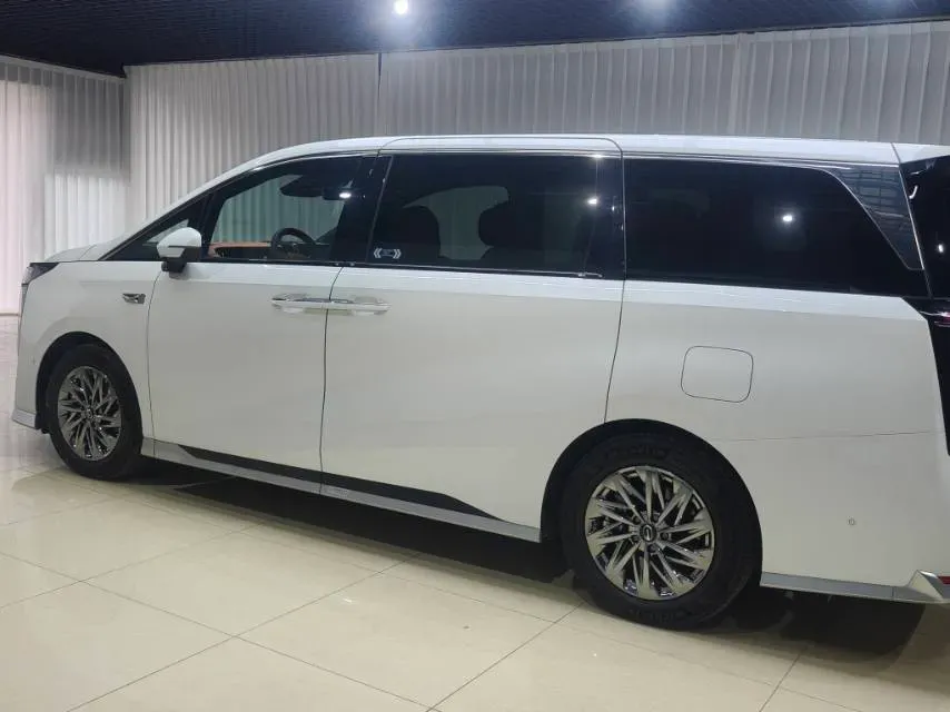 2025 GAC Trumpchi M8 2.0T 190HP L4 2DHT PHEV,autocango,china used car exporter,china ev exporter,chinese used car exporter,chinese used ev exporter