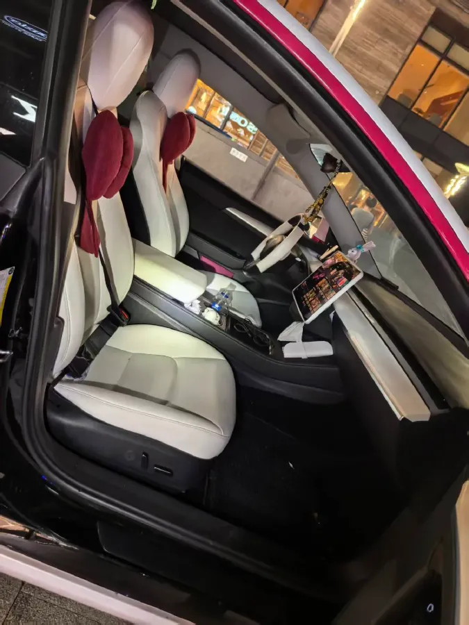 2021 Tesla Model 3 BEV 55KWH,autocango,china used car exporter,china ev exporter,chinese used car exporter,chinese used ev exporter