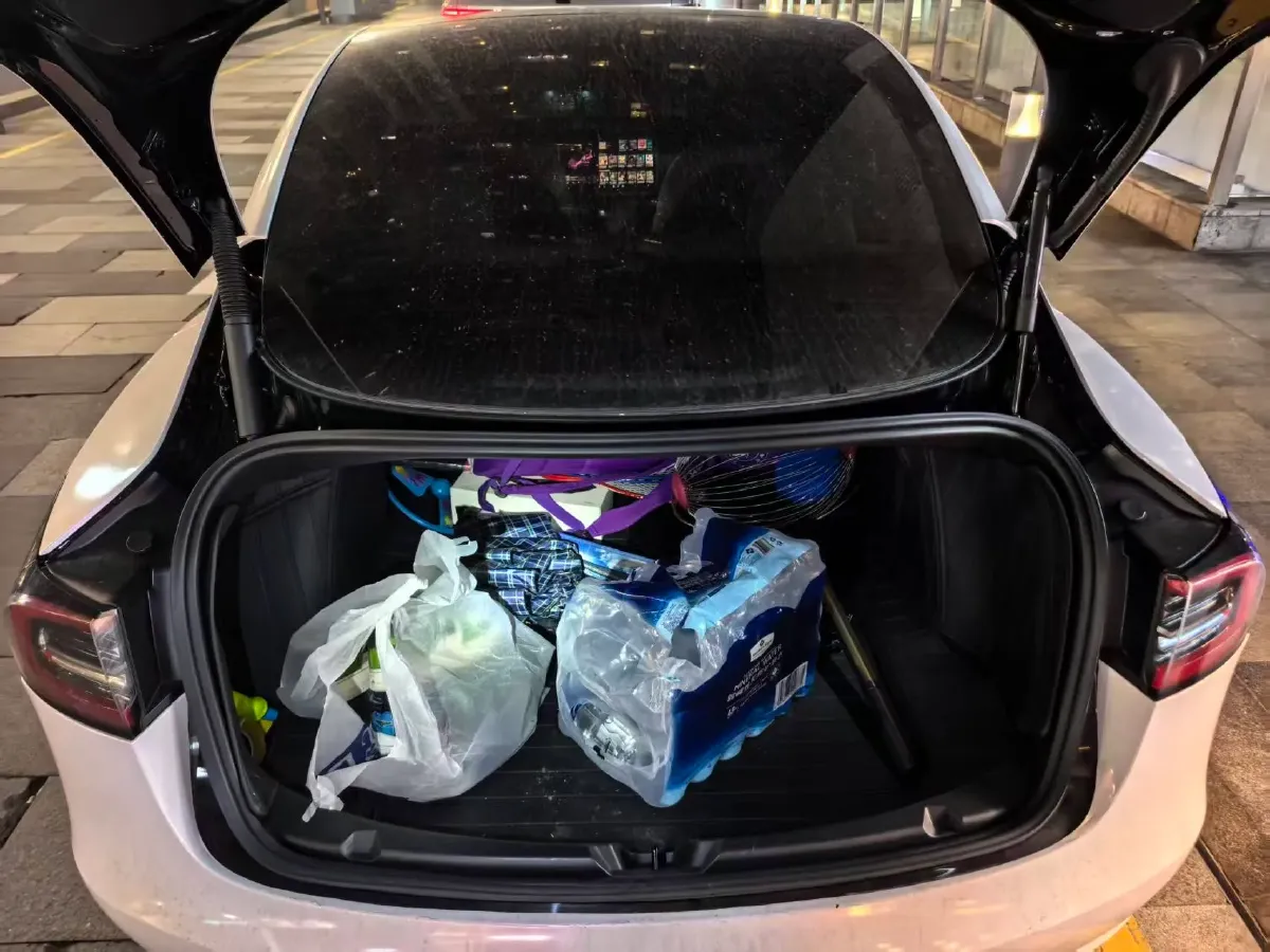 2021 Tesla Model 3 BEV 55KWH,autocango,china used car exporter,china ev exporter,chinese used car exporter,chinese used ev exporter