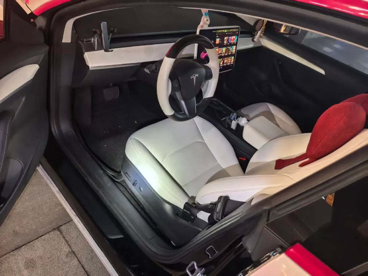 2021 Tesla Model 3 BEV 55KWH,autocango,china used car exporter,china ev exporter,chinese used car exporter,chinese used ev exporter