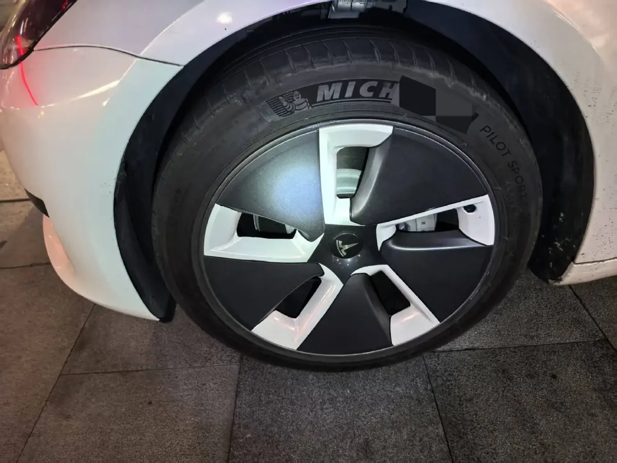 2021 Tesla Model 3 BEV 55KWH,autocango,china used car exporter,china ev exporter,chinese used car exporter,chinese used ev exporter