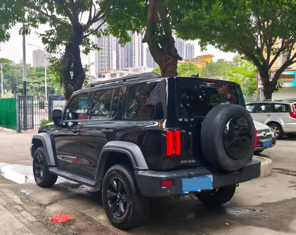 2021 Tank 300 2.0T 227HP L4 8AT,autocango,china used car exporter,china ev exporter,chinese used car exporter,chinese used ev exporter