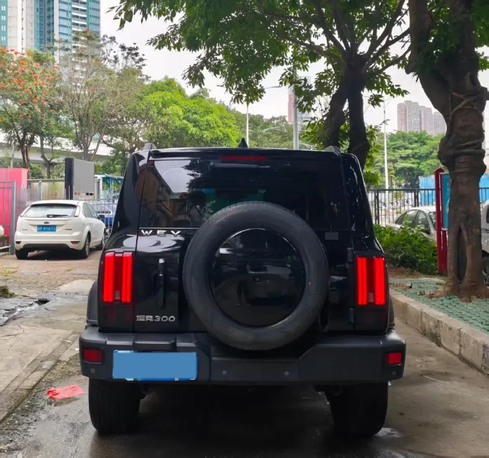 2021 Tank 300 2.0T 227HP L4 8AT,autocango,china used car exporter,china ev exporter,chinese used car exporter,chinese used ev exporter