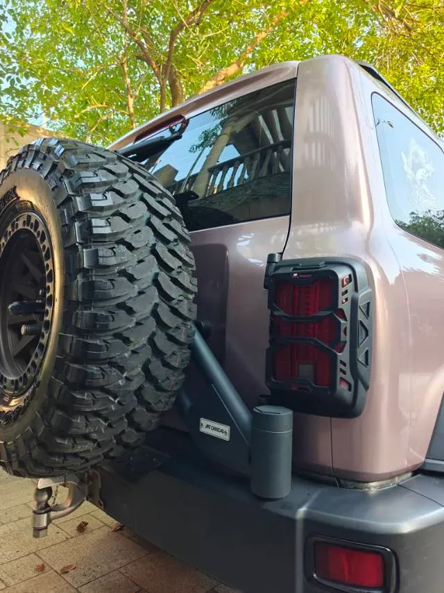 2021 Tank 300 2.0T 227HP L4 8AT,autocango,china used car exporter,china ev exporter,chinese used car exporter,chinese used ev exporter