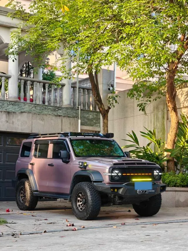 2021 Tank 300 2.0T 227HP L4 8AT,autocango,china used car exporter,china ev exporter,chinese used car exporter,chinese used ev exporter