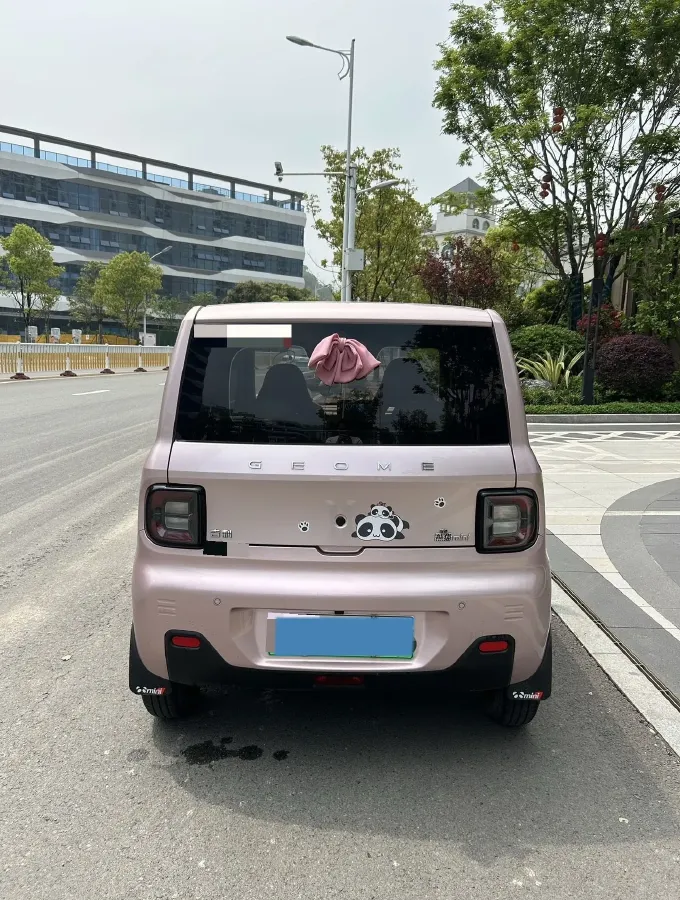 2024 Geely Galaxy Panda BEV 17.03KWH,autocango,china used car exporter,china ev exporter,chinese used car exporter,chinese used ev exporter