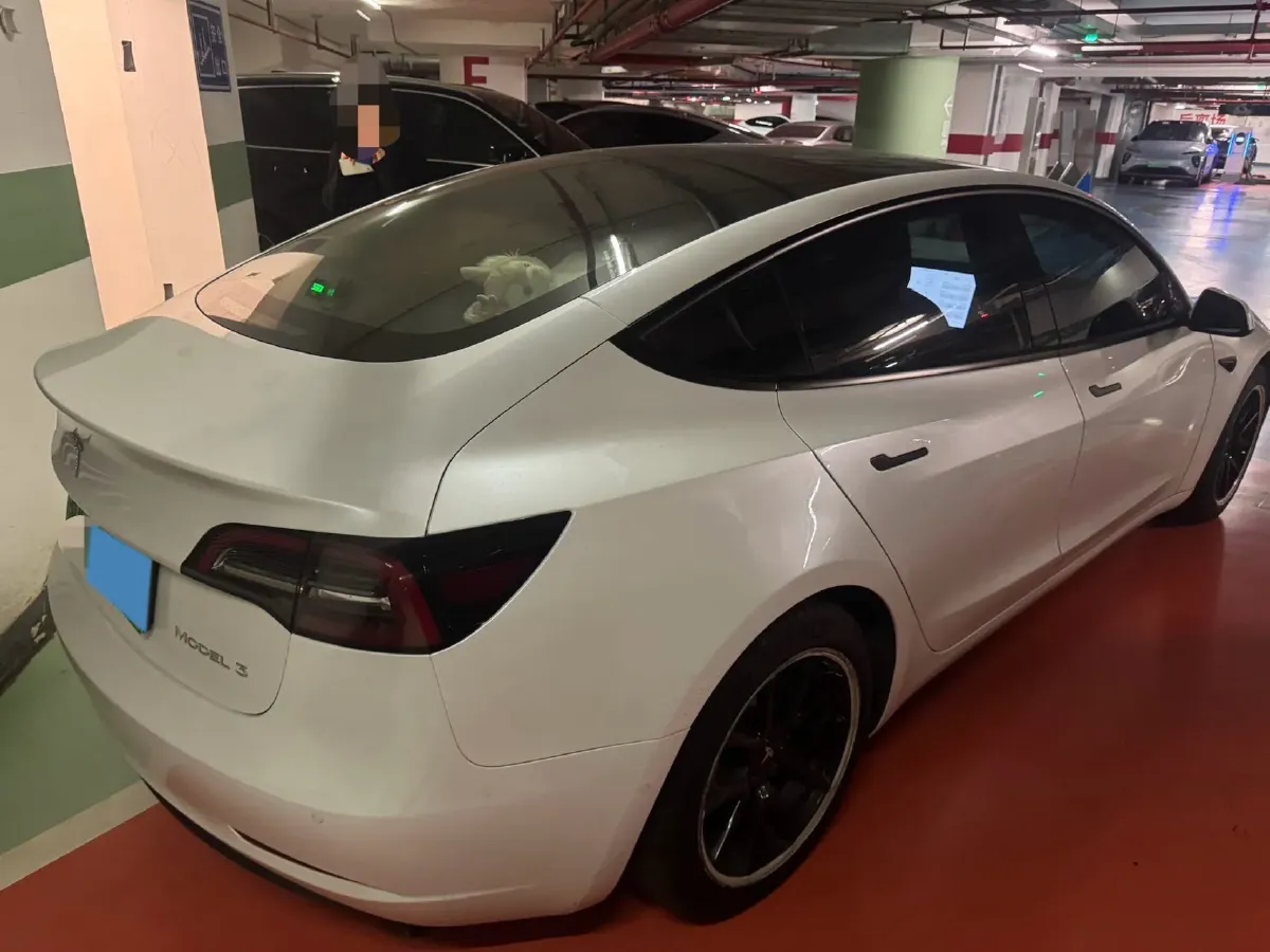 2021 Tesla Model 3 BEV 55KWH,autocango,china used car exporter,china ev exporter,chinese used car exporter,chinese used ev exporter