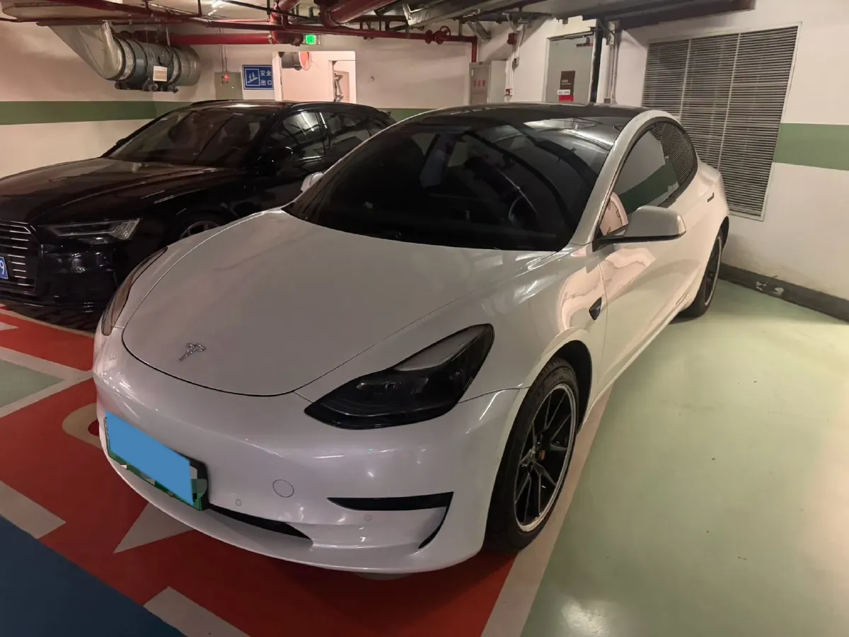 2021 Tesla Model 3 BEV 55KWH,autocango,china used car exporter,china ev exporter,chinese used car exporter,chinese used ev exporter