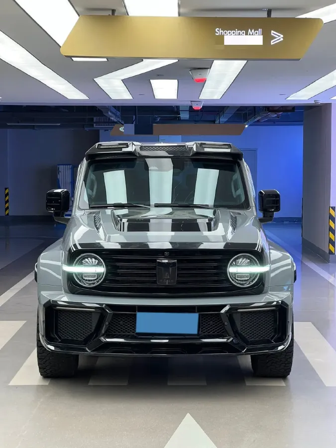 2021 Tank 300 2.0T 227HP L4 8AT,autocango,china used car exporter,china ev exporter,chinese used car exporter,chinese used ev exporter