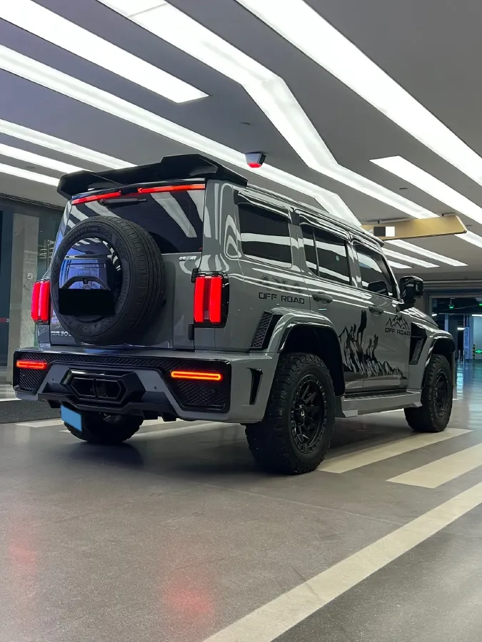 2021 Tank 300 2.0T 227HP L4 8AT,autocango,china used car exporter,china ev exporter,chinese used car exporter,chinese used ev exporter