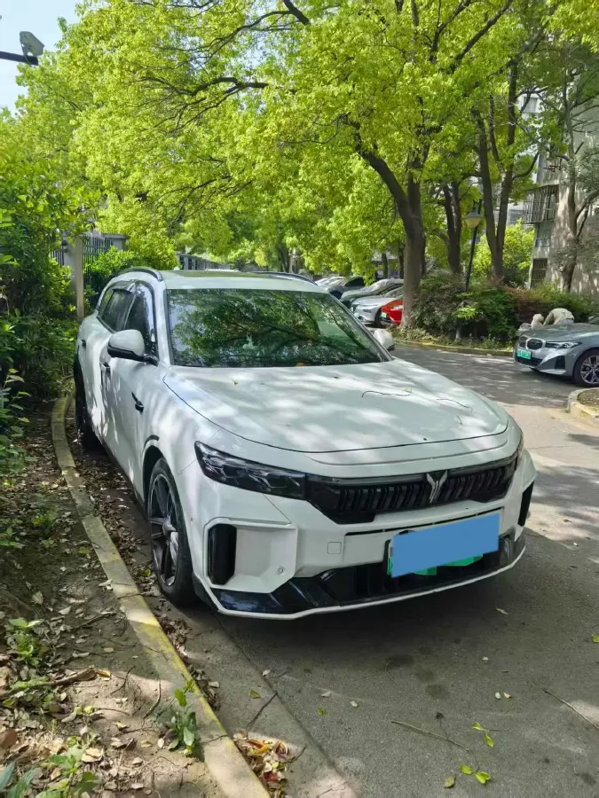 2025 Voyah FREE 1.5T 150HP L4 REEV 43KWH,autocango,china used car exporter,china ev exporter,chinese used car exporter,chinese used ev exporter