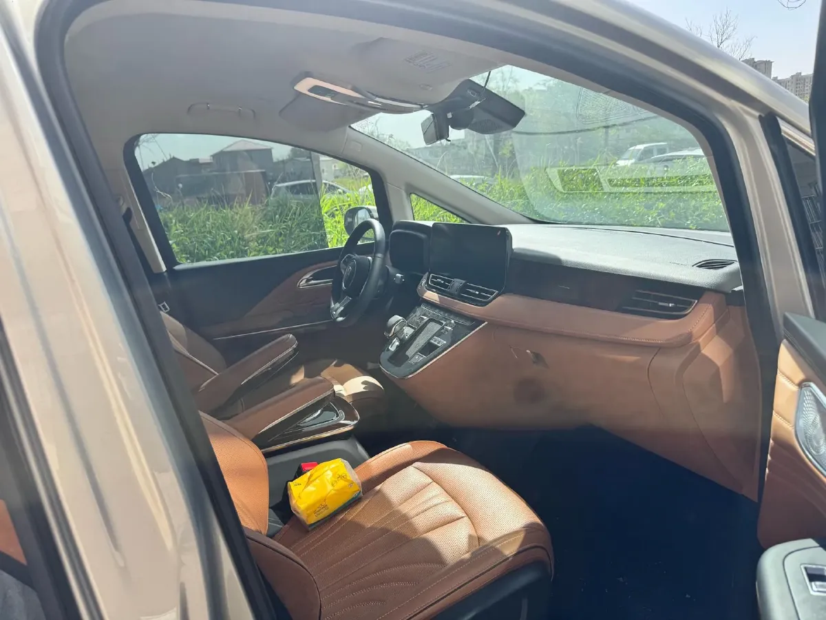 2023 HongQi HQ9 2.0T 252HP L4 8AT,autocango,china used car exporter,china ev exporter,chinese used car exporter,chinese used ev exporter