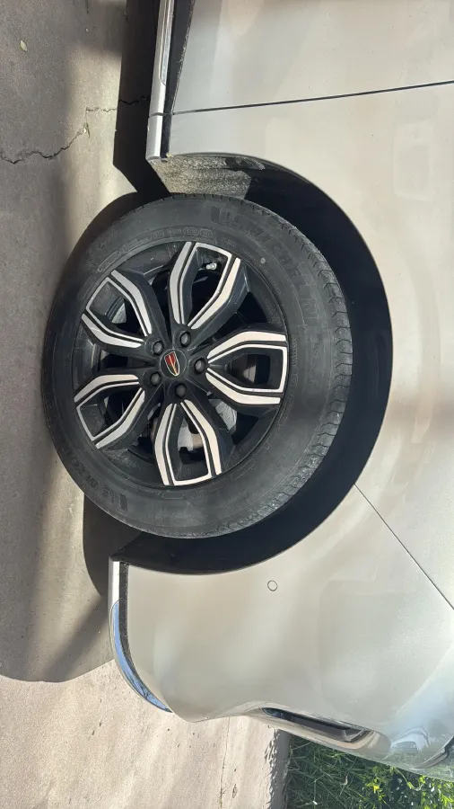 2023 HongQi HQ9 2.0T 252HP L4 8AT,autocango,china used car exporter,china ev exporter,chinese used car exporter,chinese used ev exporter