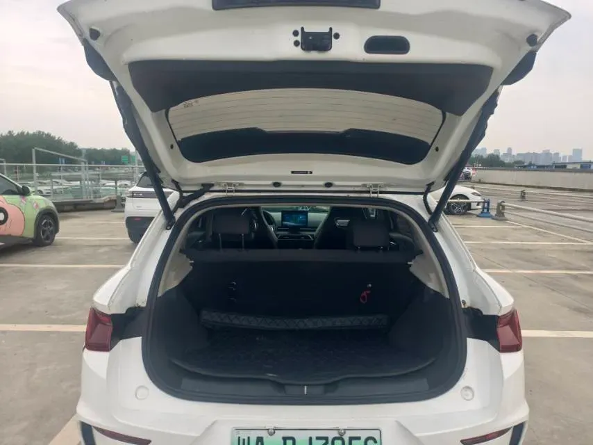 2021 BYD Dolphin BEV 30.7KWH,autocango,china used car exporter,china ev exporter,chinese used car exporter,chinese used ev exporter