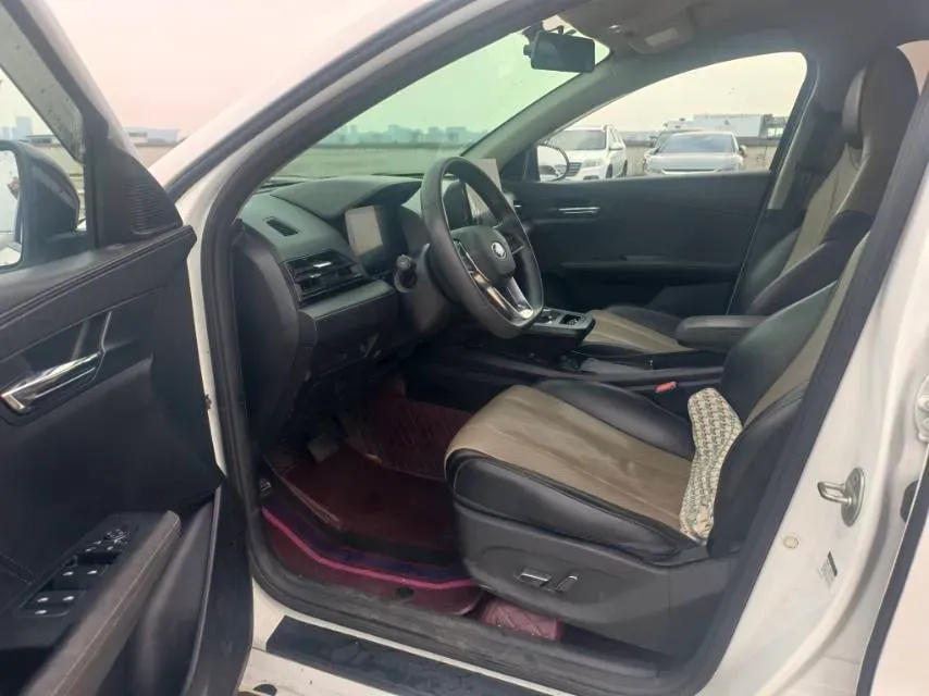 2021 BYD Dolphin BEV 30.7KWH,autocango,china used car exporter,china ev exporter,chinese used car exporter,chinese used ev exporter