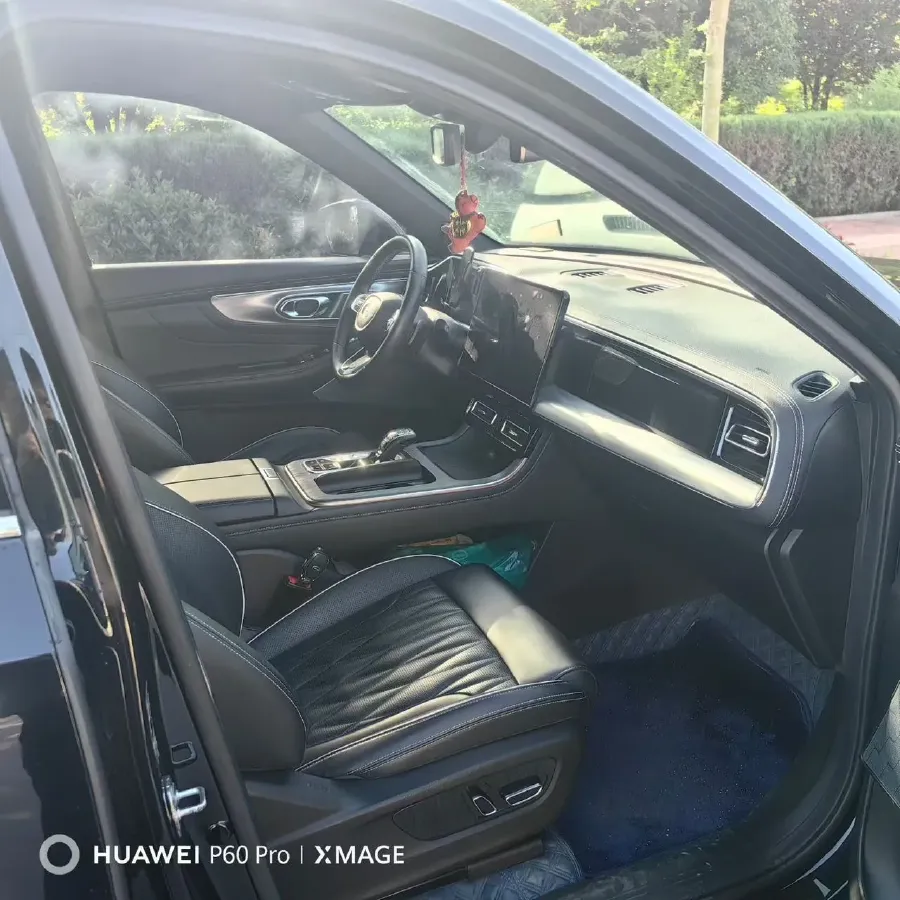 2022 GAC Trumpchi GS8 2.0T 252HP L4 8AT,autocango,china used car exporter,china ev exporter,chinese used car exporter,chinese used ev exporter