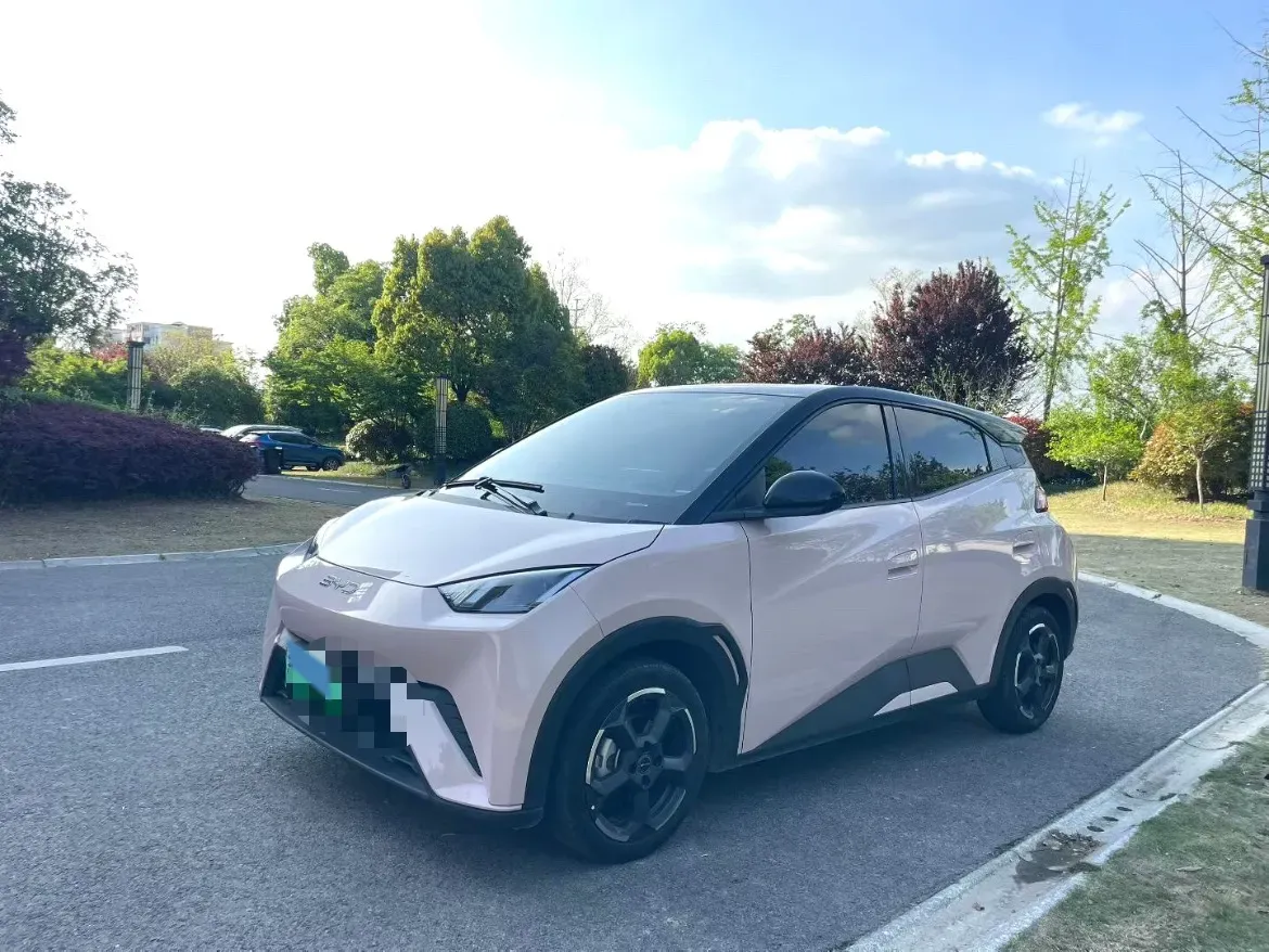 2024 BYD Seagull BEV 30.08KWH,autocango,china used car exporter,china ev exporter,chinese used car exporter,chinese used ev exporter