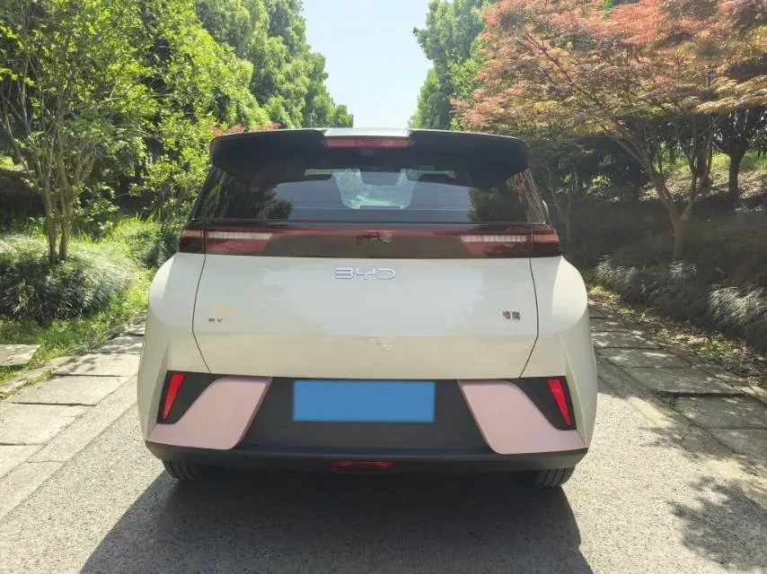 2025 BYD Seagull BEV 30.08KWH,autocango,china used car exporter,china ev exporter,chinese used car exporter,chinese used ev exporter