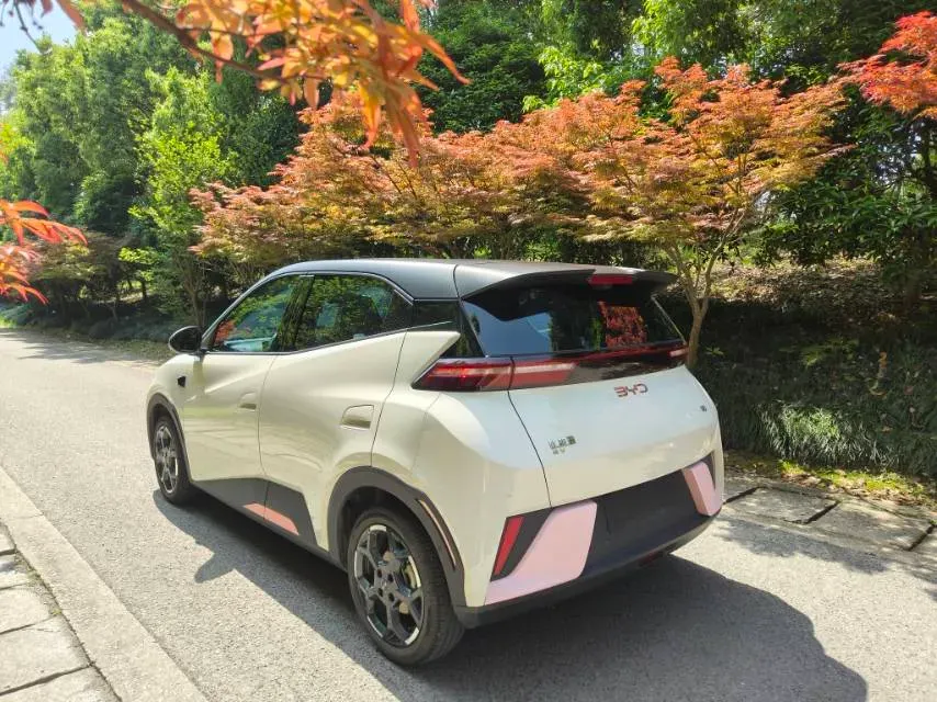 2025 BYD Seagull BEV 30.08KWH,autocango,china used car exporter,china ev exporter,chinese used car exporter,chinese used ev exporter