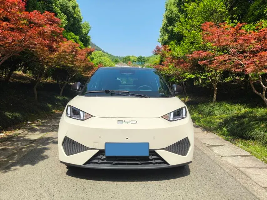 2025 BYD Seagull BEV 30.08KWH,autocango,china used car exporter,china ev exporter,chinese used car exporter,chinese used ev exporter