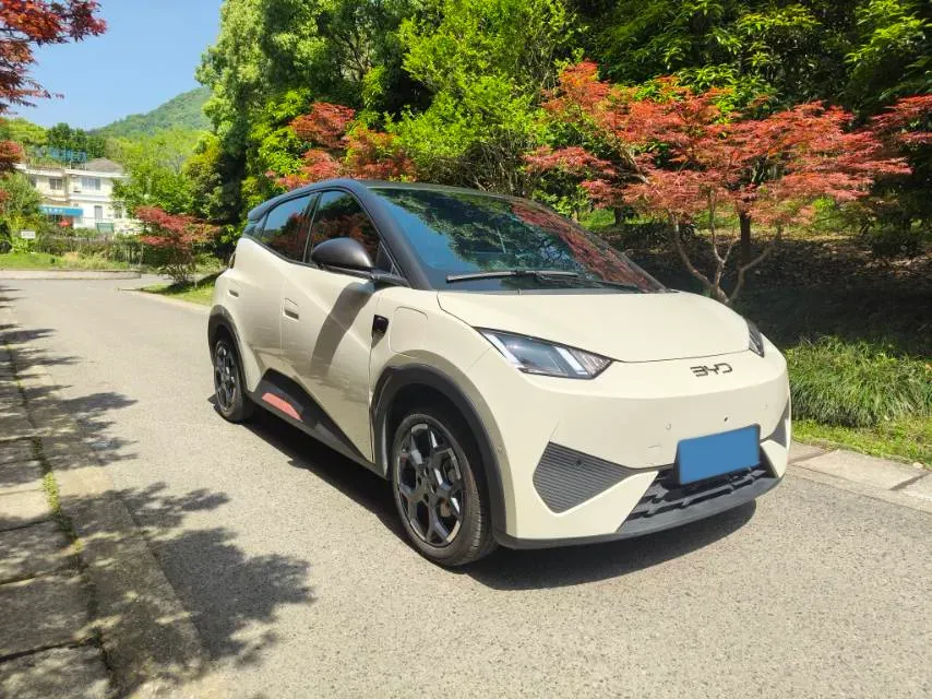 2025 BYD Seagull BEV 30.08KWH,autocango,china used car exporter,china ev exporter,chinese used car exporter,chinese used ev exporter