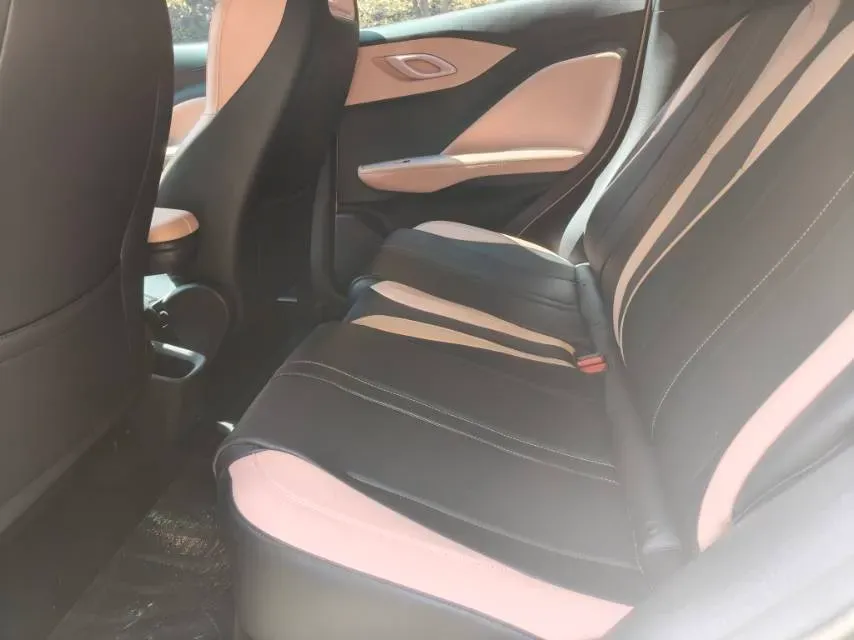 2025 BYD Seagull BEV 30.08KWH,autocango,china used car exporter,china ev exporter,chinese used car exporter,chinese used ev exporter