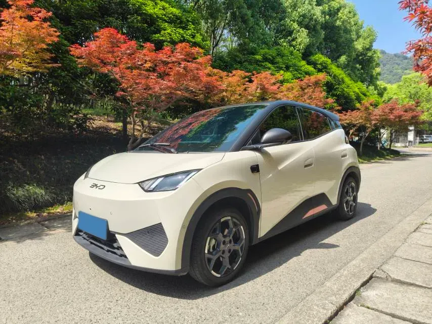 2025 BYD Seagull BEV 30.08KWH,autocango,china used car exporter,china ev exporter,chinese used car exporter,chinese used ev exporter