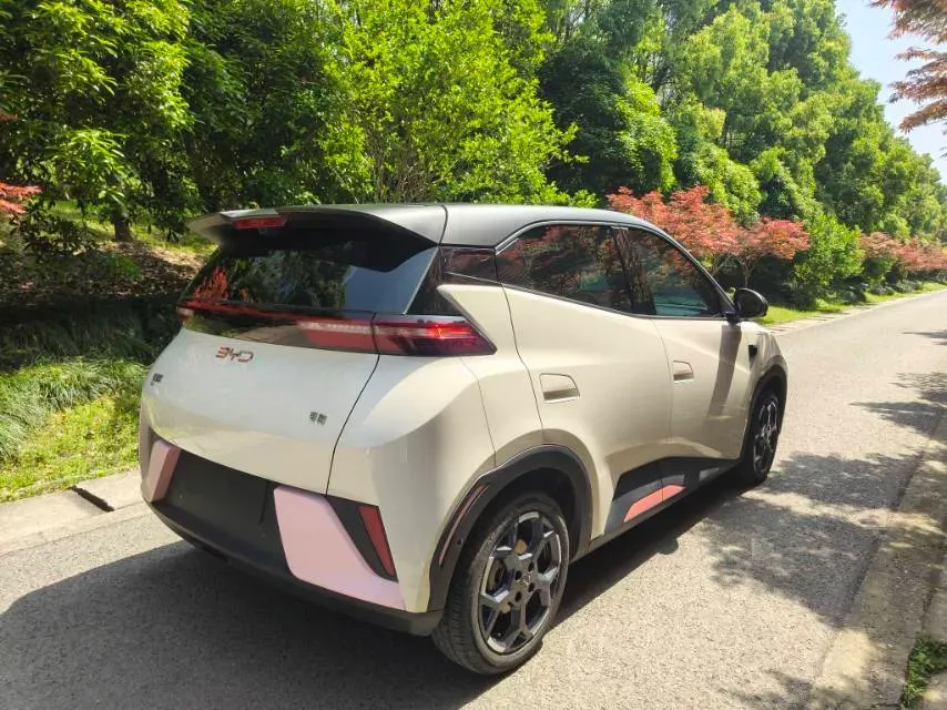 2025 BYD Seagull BEV 30.08KWH,autocango,china used car exporter,china ev exporter,chinese used car exporter,chinese used ev exporter