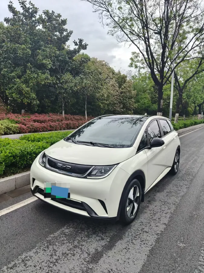 2023 BYD Dolphin BEV 44.928KWH,autocango,china used car exporter,china ev exporter,chinese used car exporter,chinese used ev exporter