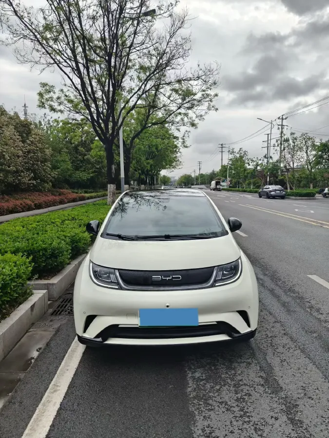 2023 BYD Dolphin BEV 44.928KWH,autocango,china used car exporter,china ev exporter,chinese used car exporter,chinese used ev exporter