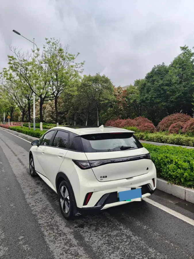 2023 BYD Dolphin BEV 44.928KWH,autocango,china used car exporter,china ev exporter,chinese used car exporter,chinese used ev exporter