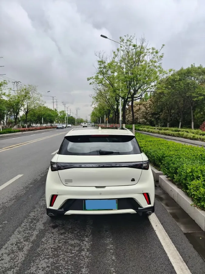 2023 BYD Dolphin BEV 44.928KWH,autocango,china used car exporter,china ev exporter,chinese used car exporter,chinese used ev exporter