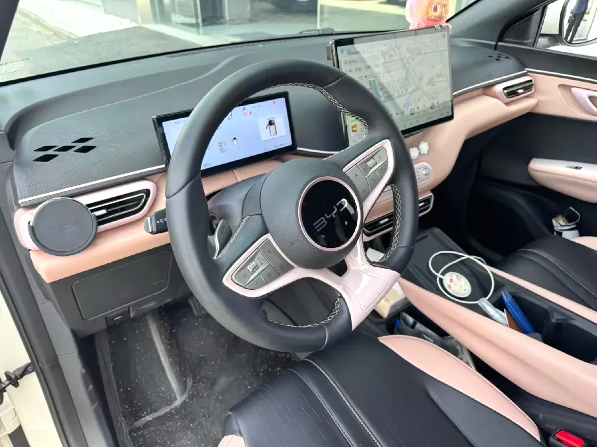 2025 BYD Seagull BEV 38.88KWH,autocango,china used car exporter,china ev exporter,chinese used car exporter,chinese used ev exporter