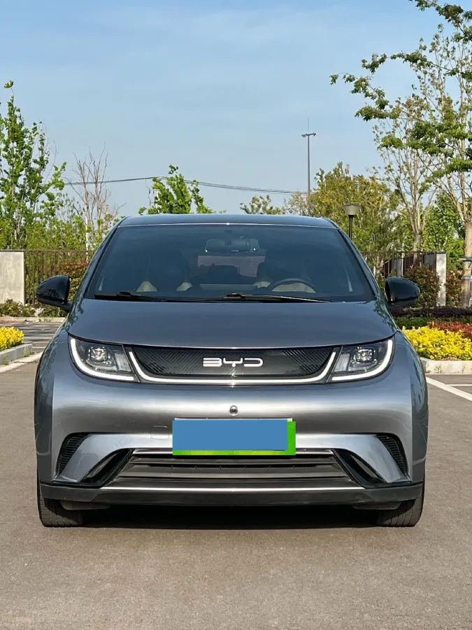 2023 BYD Dolphin BEV 44.928KWH,autocango,china used car exporter,china ev exporter,chinese used car exporter,chinese used ev exporter