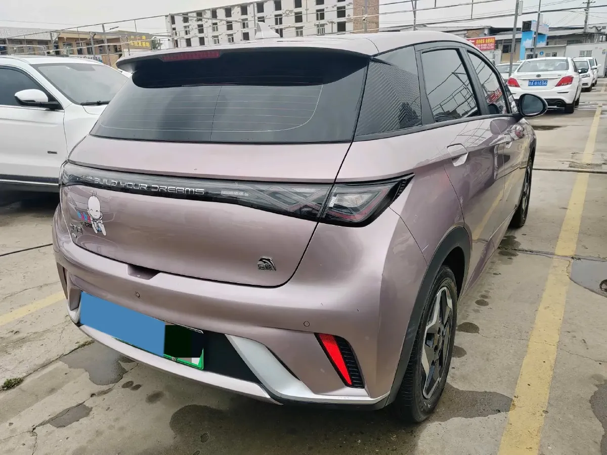 2021 BYD Dolphin BEV 44.9KWH,autocango,china used car exporter,china ev exporter,chinese used car exporter,chinese used ev exporter