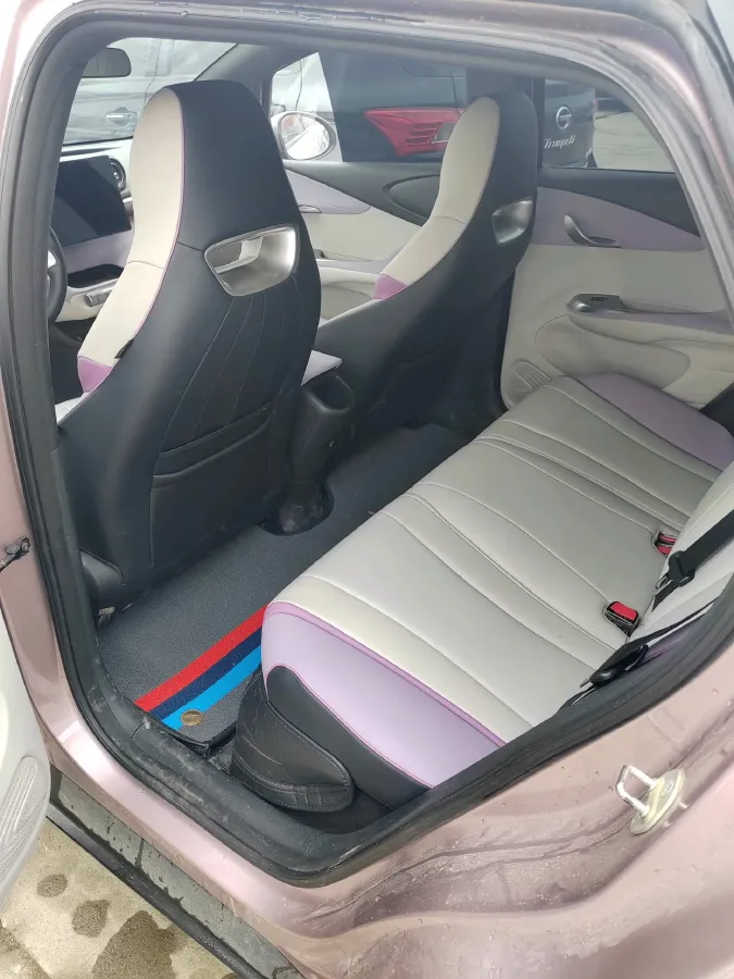 2021 BYD Dolphin BEV 44.9KWH,autocango,china used car exporter,china ev exporter,chinese used car exporter,chinese used ev exporter