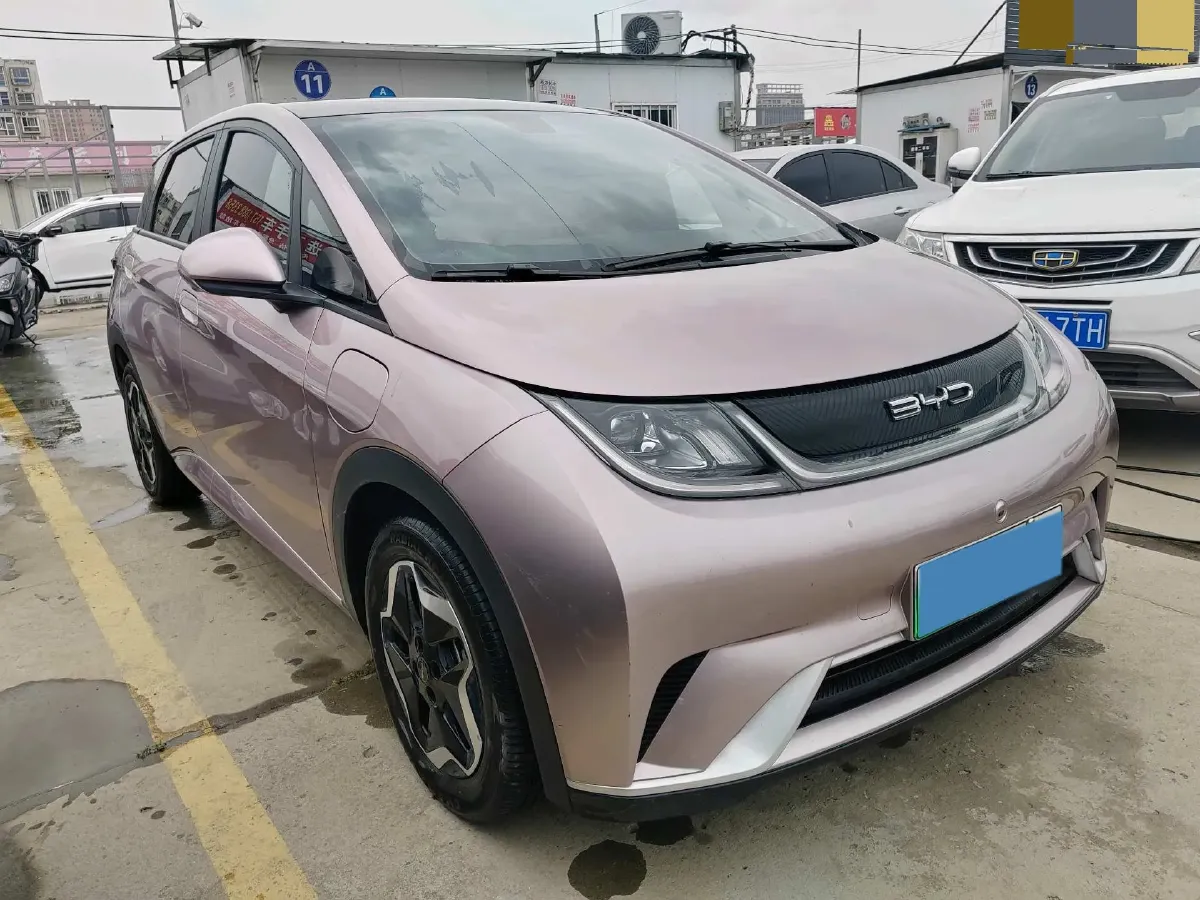 2021 BYD Dolphin BEV 44.9KWH,autocango,china used car exporter,china ev exporter,chinese used car exporter,chinese used ev exporter