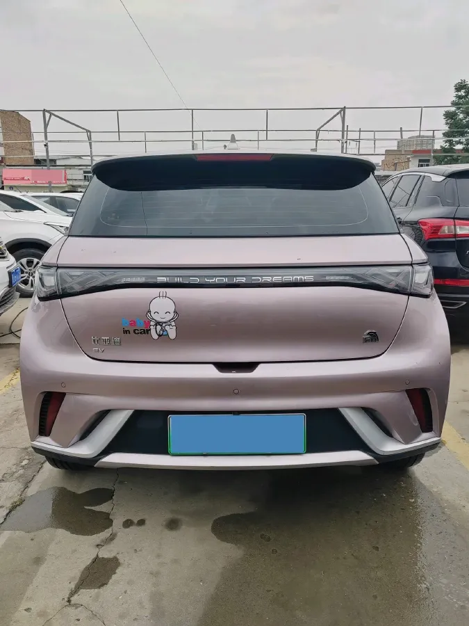 2021 BYD Dolphin BEV 44.9KWH,autocango,china used car exporter,china ev exporter,chinese used car exporter,chinese used ev exporter