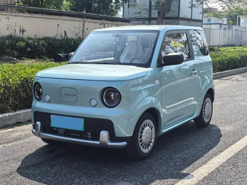 2025 ZD Rainbow BEV,autocango,china used car exporter,china ev exporter,chinese used car exporter,chinese used ev exporter