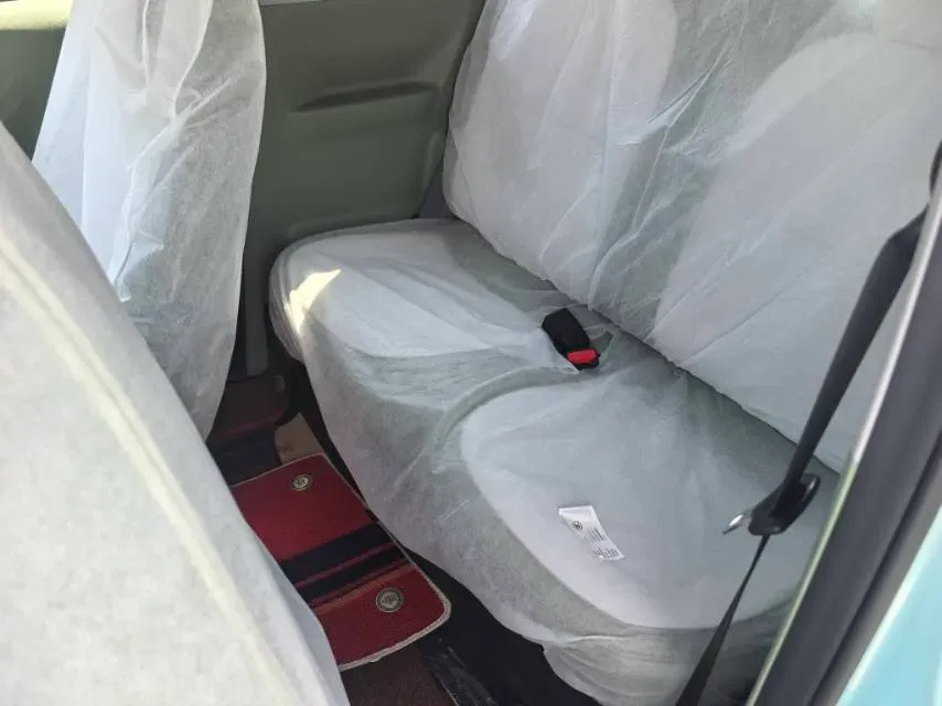 2025 ZD Rainbow BEV,autocango,china used car exporter,china ev exporter,chinese used car exporter,chinese used ev exporter