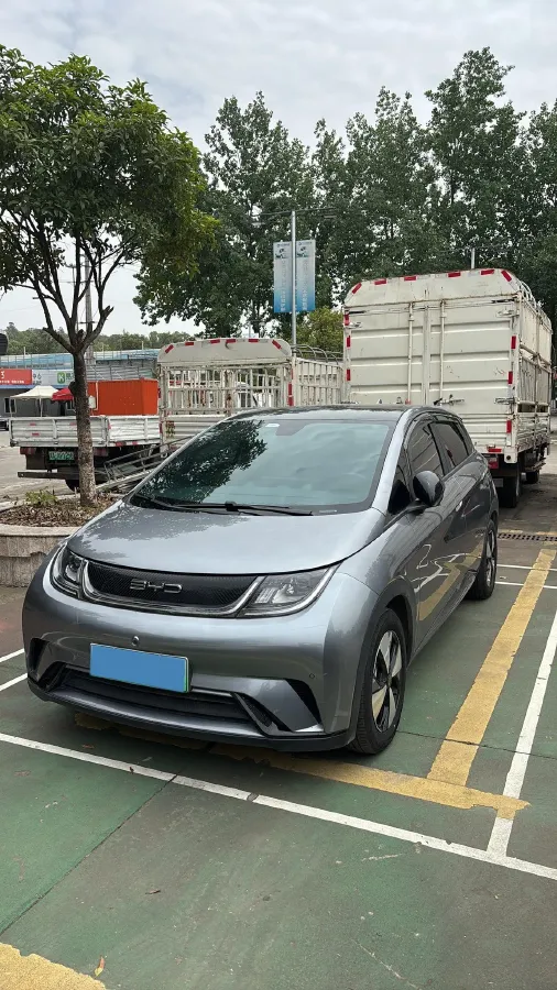 2023 BYD Dolphin BEV 44.928KWH,autocango,china used car exporter,china ev exporter,chinese used car exporter,chinese used ev exporter