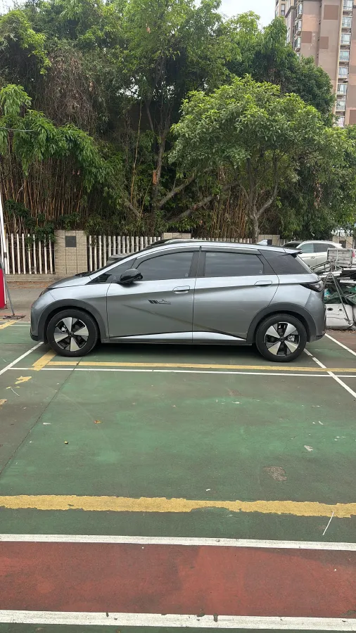 2023 BYD Dolphin BEV 44.928KWH,autocango,china used car exporter,china ev exporter,chinese used car exporter,chinese used ev exporter