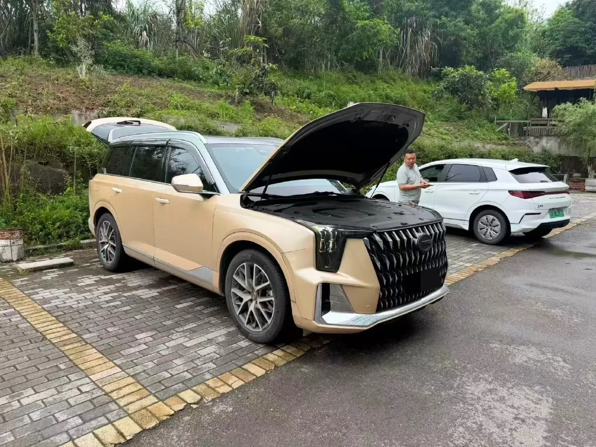 2022 GAC Trumpchi GS8 2.0T 252HP L4 8AT,autocango,china used car exporter,china ev exporter,chinese used car exporter,chinese used ev exporter