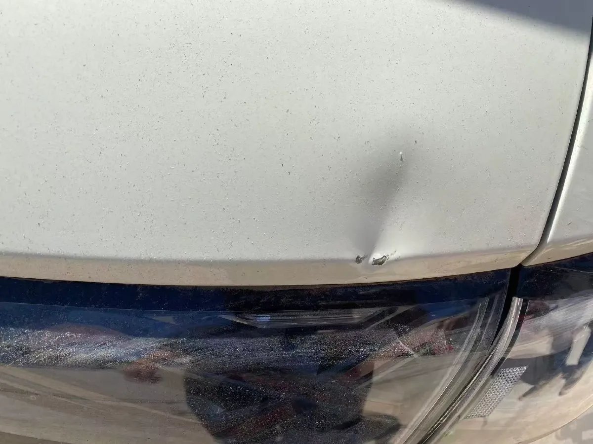 2023 BYD Dolphin BEV 44.928KWH,autocango,china used car exporter,china ev exporter,chinese used car exporter,chinese used ev exporter