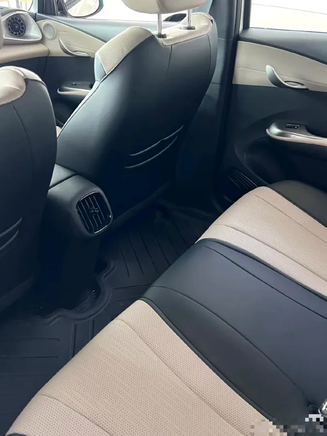 2023 BYD Dolphin BEV 44.928KWH,autocango,china used car exporter,china ev exporter,chinese used car exporter,chinese used ev exporter