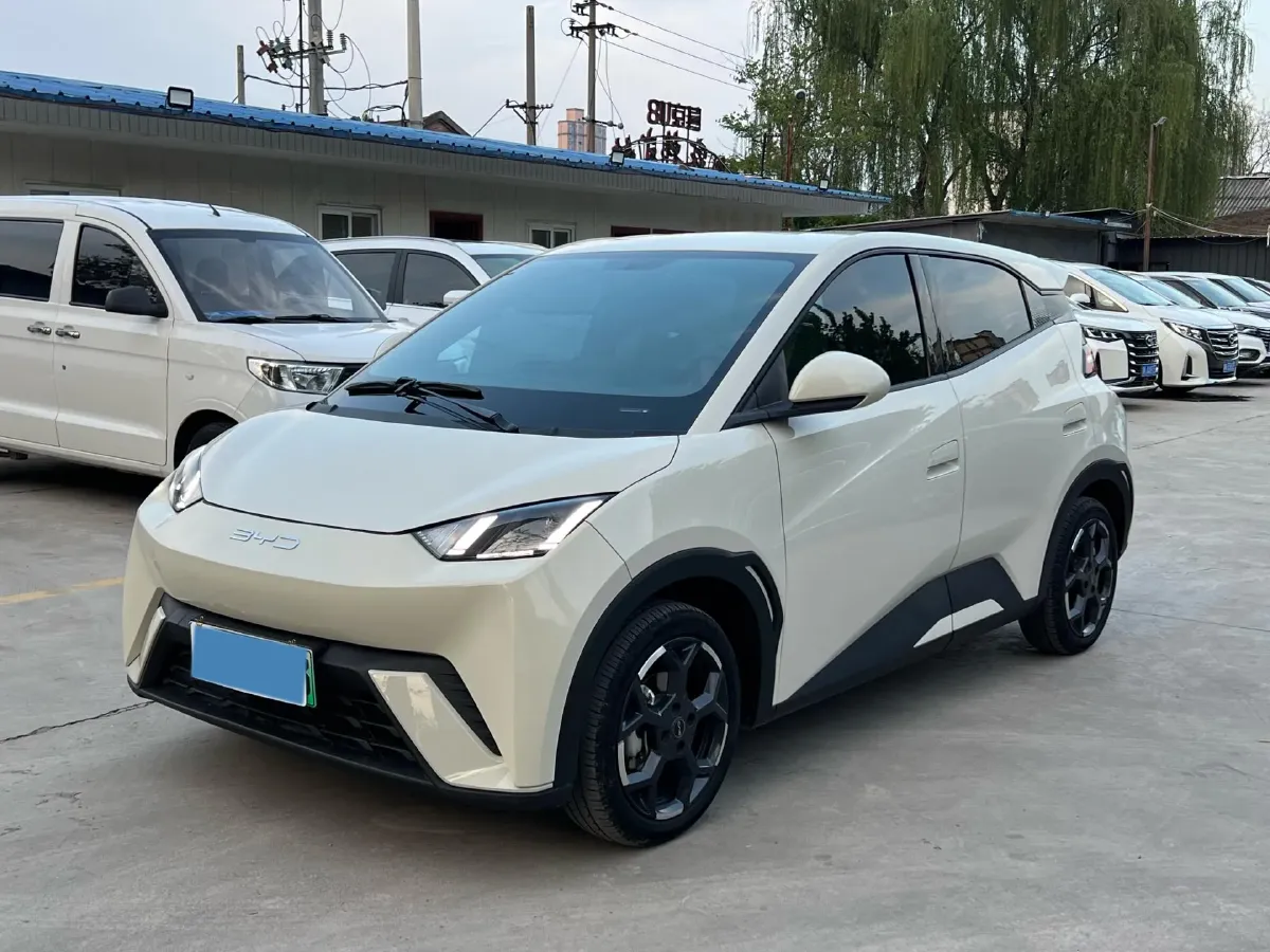 2024 BYD Seagull BEV 30.08KWH,autocango,china used car exporter,china ev exporter,chinese used car exporter,chinese used ev exporter