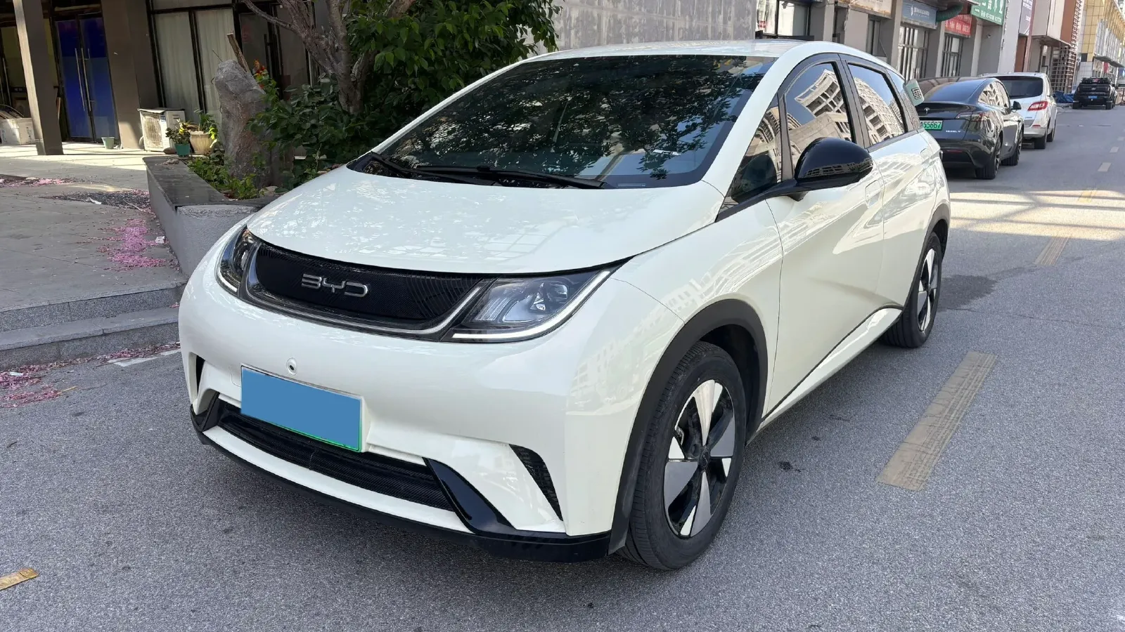 2023 BYD Dolphin BEV 44.928KWH,autocango,china used car exporter,china ev exporter,chinese used car exporter,chinese used ev exporter