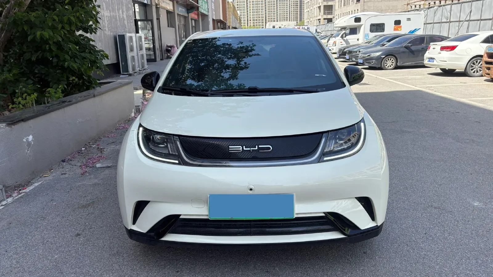 2023 BYD Dolphin BEV 44.928KWH,autocango,china used car exporter,china ev exporter,chinese used car exporter,chinese used ev exporter