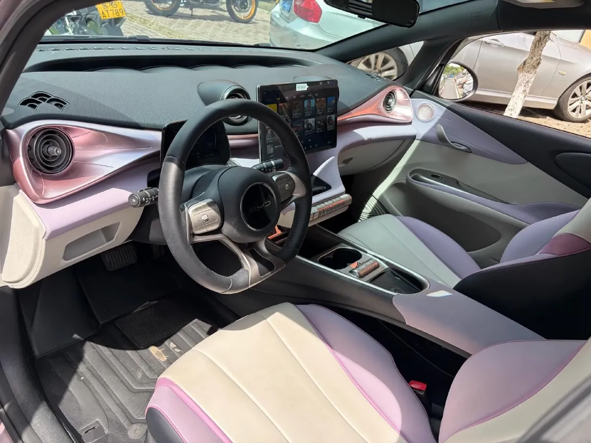 2021 BYD Yuan Pro BEV 50.1KWH,autocango,china used car exporter,china ev exporter,chinese used car exporter,chinese used ev exporter