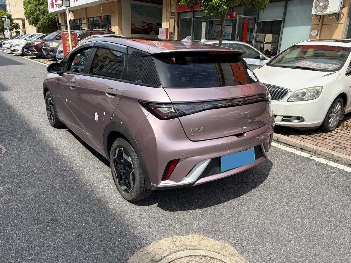 2021 BYD Yuan Pro BEV 50.1KWH,autocango,china used car exporter,china ev exporter,chinese used car exporter,chinese used ev exporter